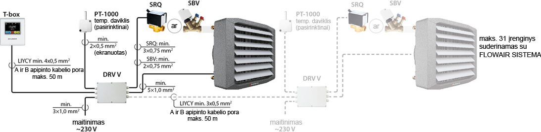 T box LEO EC LT